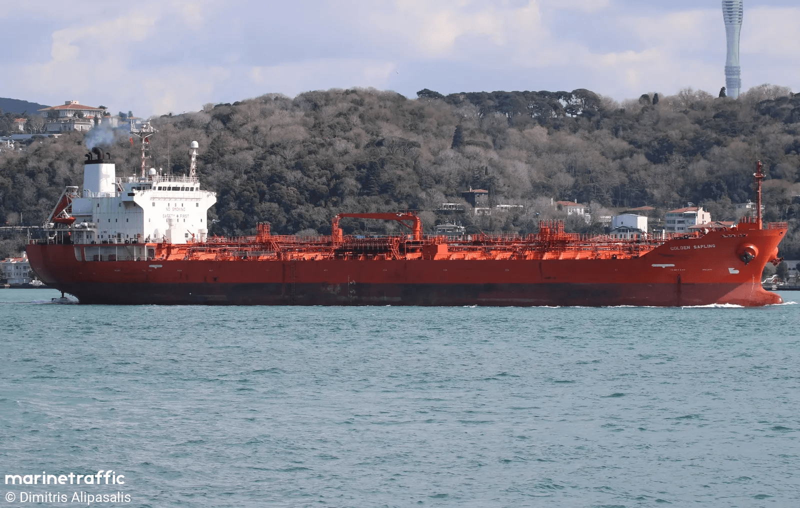Vessel GOLDEN SAPLING grounded in Turkish water.